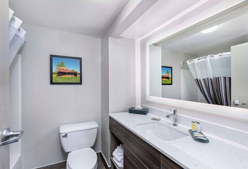 اتاق لوکس, La Quinta Inn By Wyndham Pigeon Forgedollywood