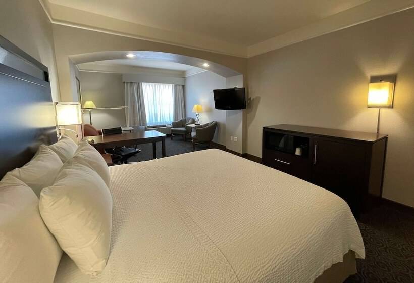 Deluxe Room, La Quinta Inn & Suites By Wyndham Houston West At Clay Road