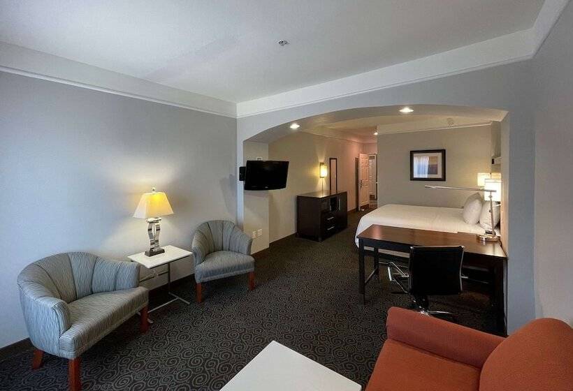 اتاق لوکس, Spark By Hilton Houston West Clay Road