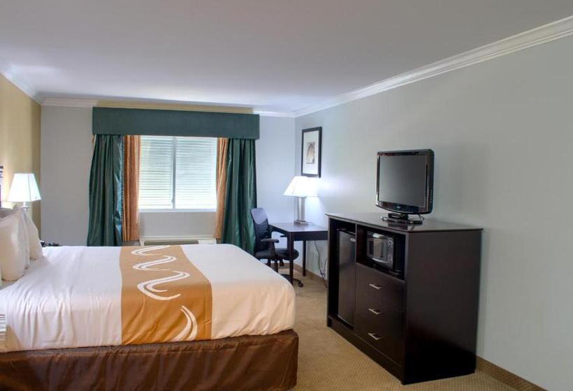 اتاق استاندارد با تخت بزرگ, Quality Inn