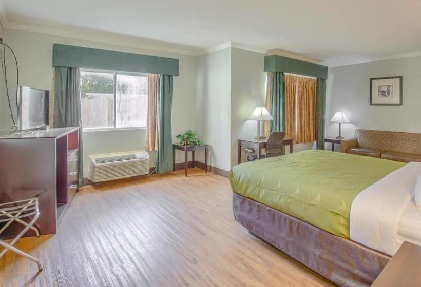 سوییت, Quality Inn