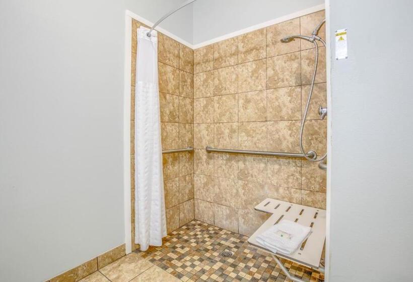اتاق استاندارد با تخت بزرگ برای معلولان, Quality Inn
