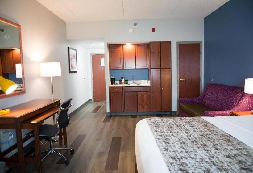 Standard Room King Size Bed, Surestay Plus By Best Western Louisville Airport Expo