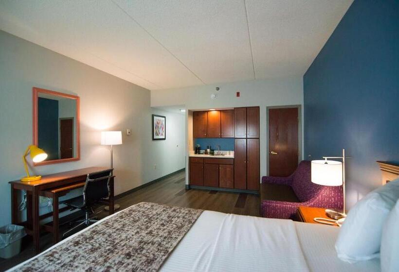 اتاق استاندارد با تخت بزرگ, Best Western Louisville Airport Expo