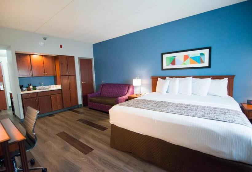 اتاق استاندارد با تخت بزرگ, Best Western Louisville Airport Expo