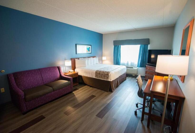 اتاق استاندارد با تخت بزرگ, Best Western Louisville Airport Expo
