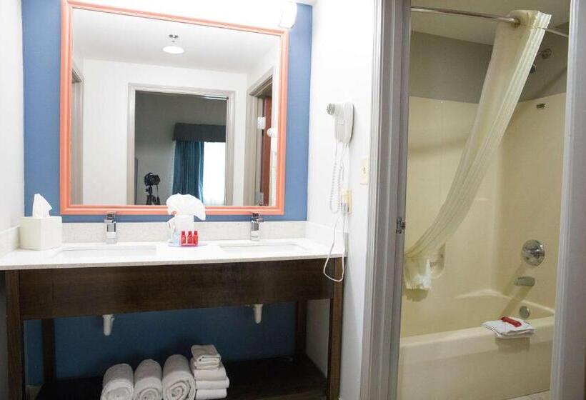 اتاق استاندارد با تخت بزرگ, Best Western Louisville Airport Expo