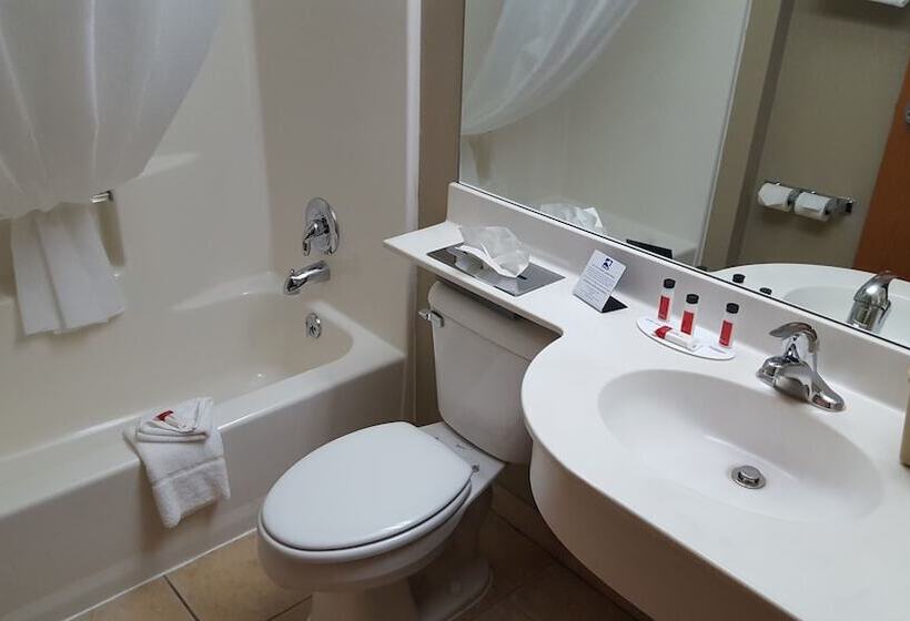 اتاق استاندارد برای معلولان, Microtel Inn & Suites By Wyndham Bozeman