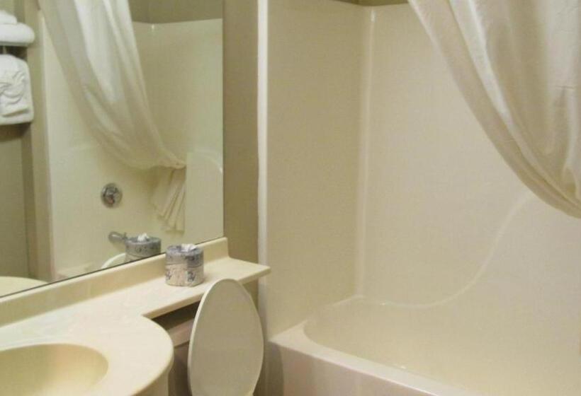 اتاق استاندارد, Microtel Inn & Suites By Wyndham Rapid City
