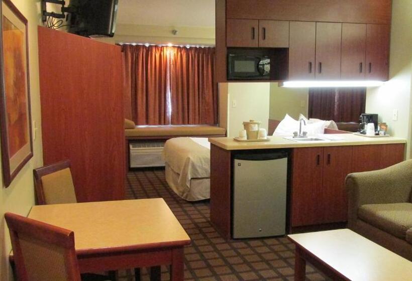 Suite Adapted for people with reduced mobility, Microtel Inn & Suites By Wyndham Rapid City