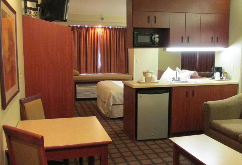 استودیوی استاندارد, Microtel Inn & Suites By Wyndham Rapid City