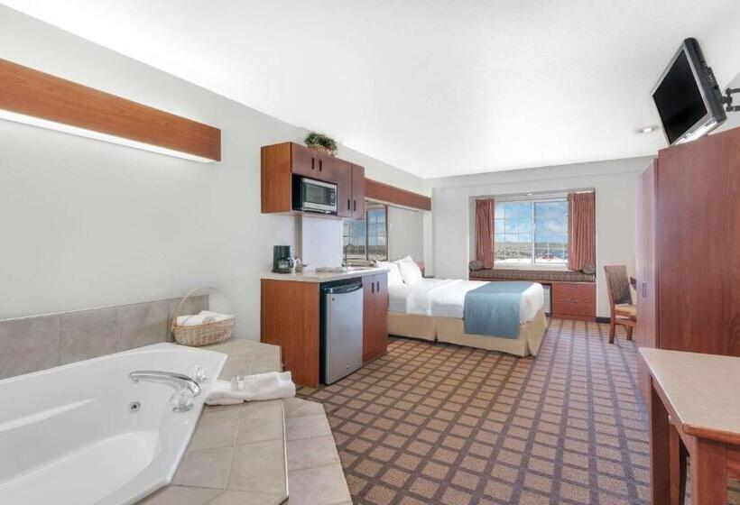 استودیوی استاندارد, Microtel Inn & Suites By Wyndham Rapid City