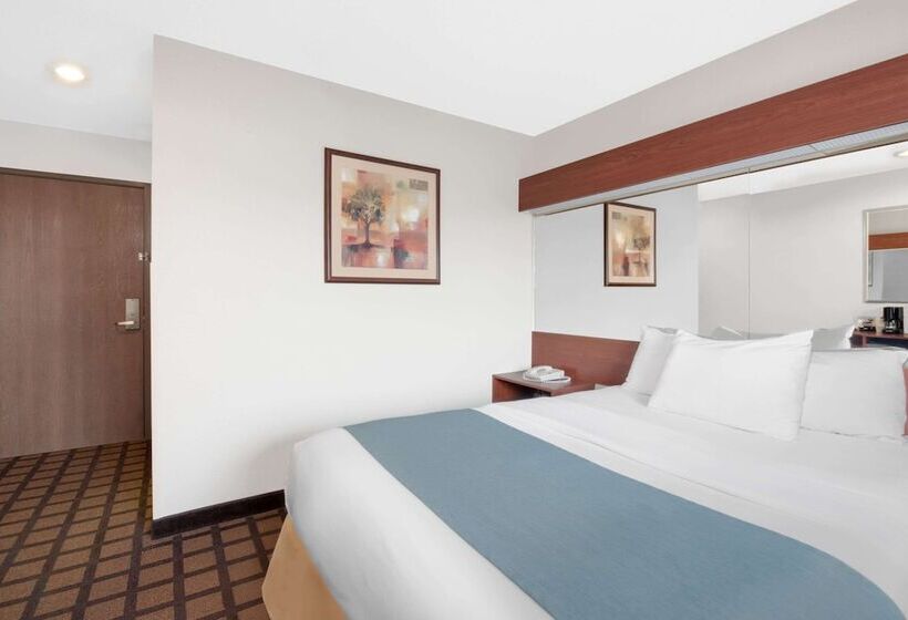 اتاق استاندارد برای معلولان, Microtel Inn & Suites By Wyndham Rapid City
