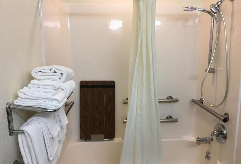 اتاق استاندارد برای معلولان, Microtel Inn & Suites By Wyndham Rice Lake