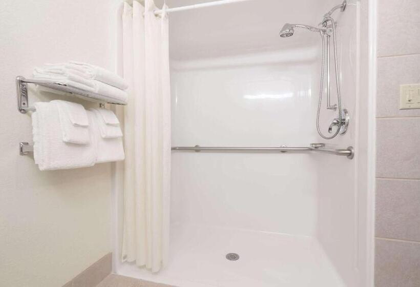اتاق استاندارد با تخت دو نفره بزرگ برای معلولان, Microtel Inn & Suites By Wyndham Rice Lake