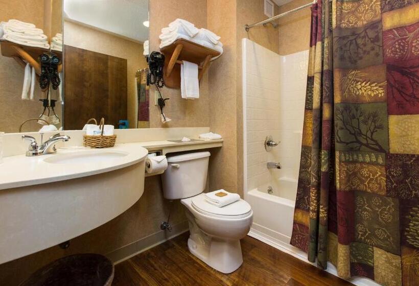 اتاق لوکس با تخت بزرگ, Stoney Creek Hotel La Crosse   Onalaska