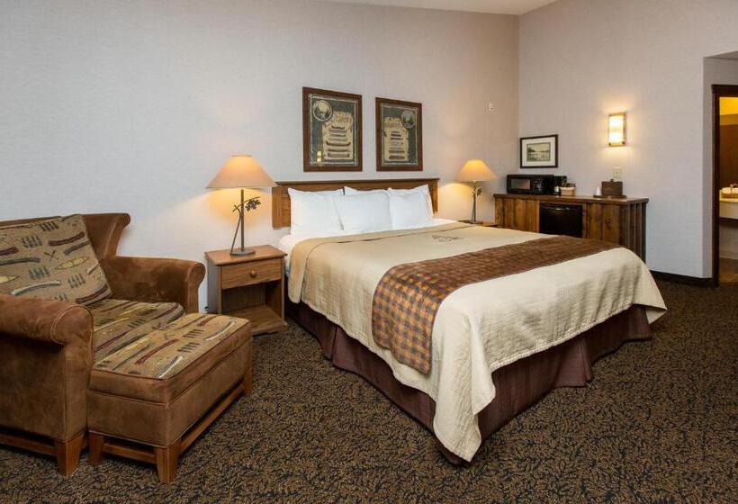 اتاق لوکس با تخت بزرگ, Stoney Creek Hotel La Crosse   Onalaska