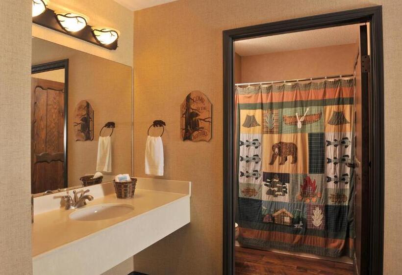 سوییت سوپریور, Stoney Creek Hotel La Crosse   Onalaska