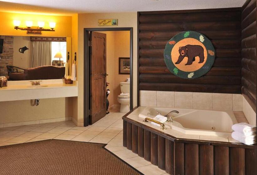 سوئیت با وان آب گرم, Stoney Creek Hotel La Crosse   Onalaska