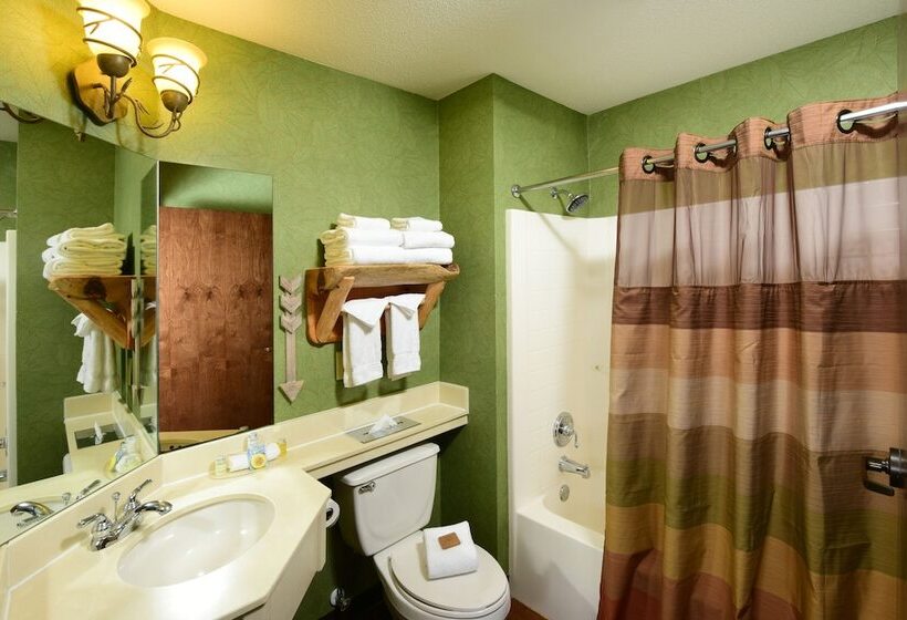 اتاق لوکس, Stoney Creek Hotel La Crosse   Onalaska