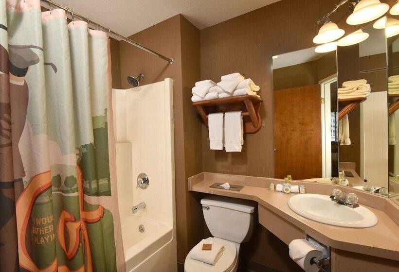 اتاق استاندارد, Stoney Creek Hotel La Crosse   Onalaska