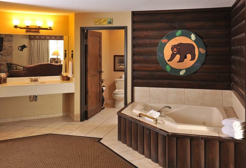 سوئیت با وان آب گرم, Stoney Creek Hotel La Crosse   Onalaska