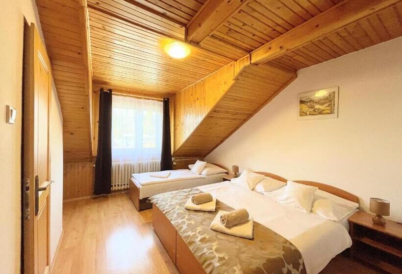 اتاق استاندارد سه نفره, Spa & Wellness Penzión Zorhill
