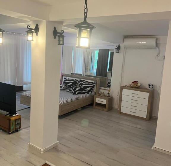 استودیوی استاندارد, Vila Alga