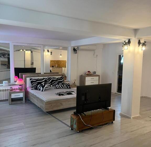 استودیوی استاندارد, Vila Alga
