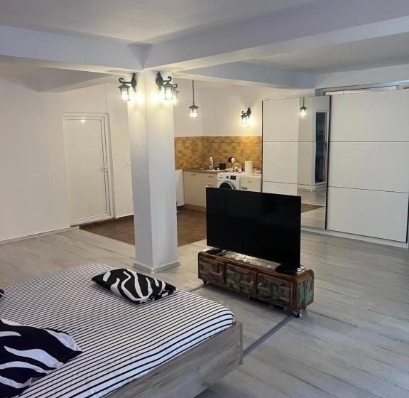 استودیوی استاندارد, Vila Alga