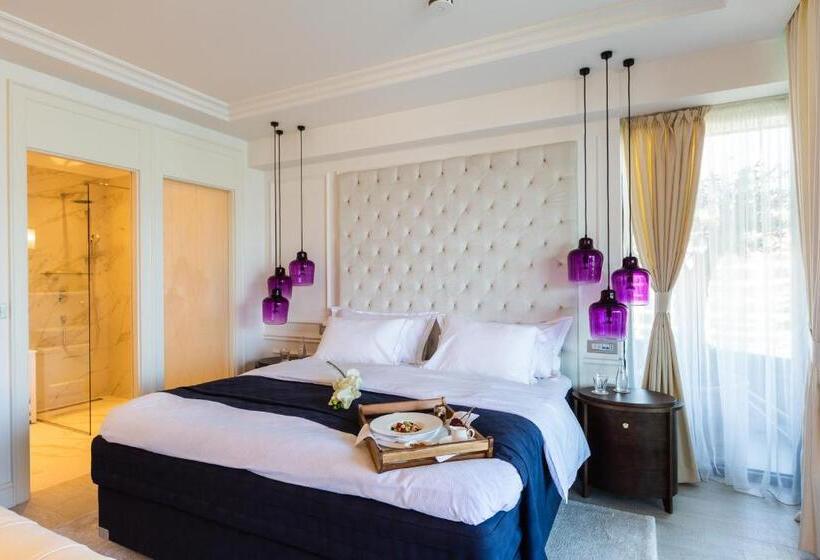 سوییت جونیور اجرایی, Boutique Hotel Vissi D Arte