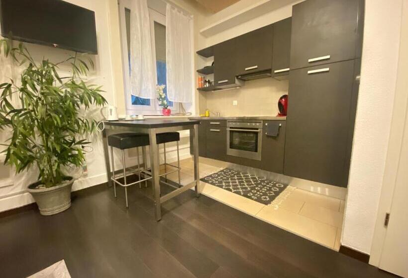 استودیوی استاندارد, B&b Guest House Du Lac