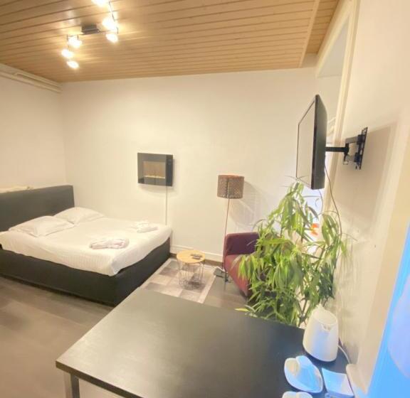 استودیوی استاندارد, B&b Guest House Du Lac