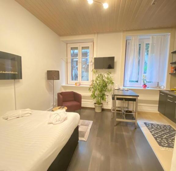استودیوی استاندارد, B&b Guest House Du Lac