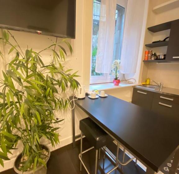 استودیوی استاندارد, B&b Guest House Du Lac