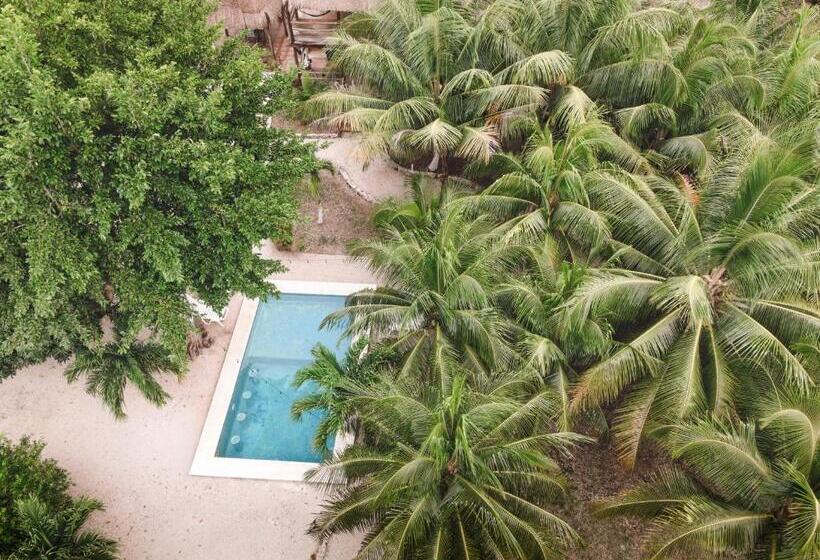חדר דלוקס, Royal Palm Bacalar Cabañas & Lagoon Club