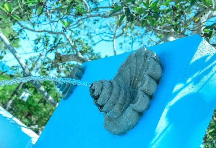 سوئیت با تخت بزرگ, Mar Y Sueños Suites