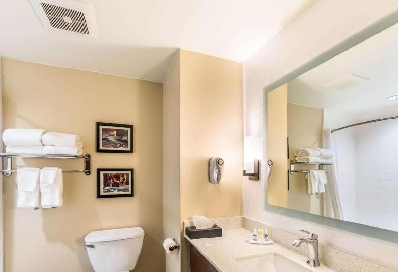 اتاق استاندارد با 2 تخت دوبل, Comfort Inn & Suites Zion Park Area