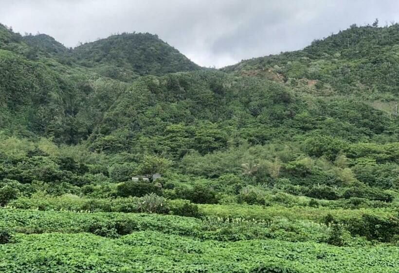 اتاق استاندارد با چشم‌انداز کوهستان, Mermaid B&b