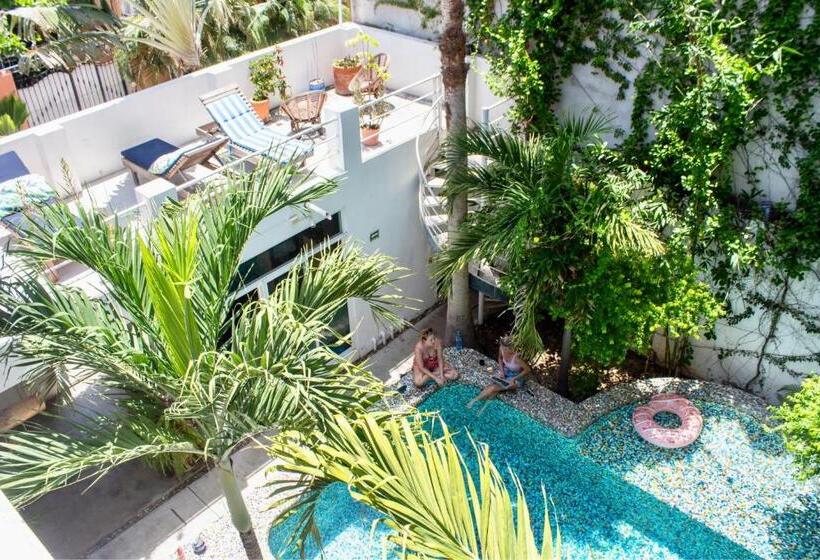 تختخواب در اتاق مشترک, Casa Daikiri