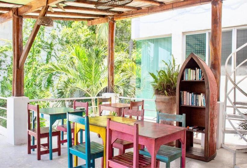 تختخواب در اتاق مشترک, Casa Daikiri