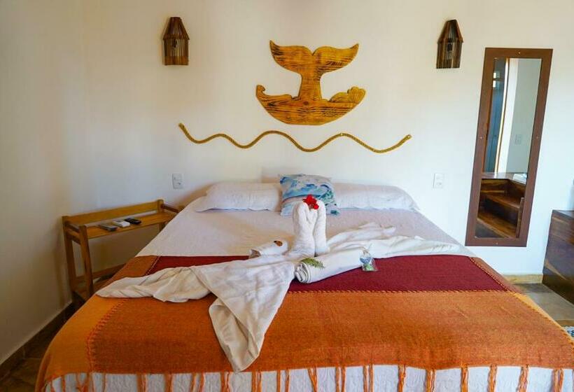 اتاق لوکس, Casa Do Velejador