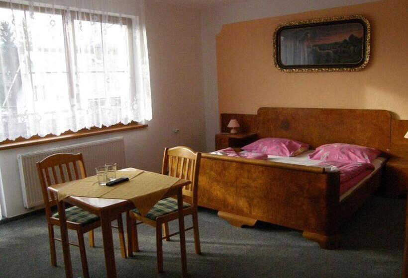 اتاق استاندارد برای معلولان, Penzion U Petra