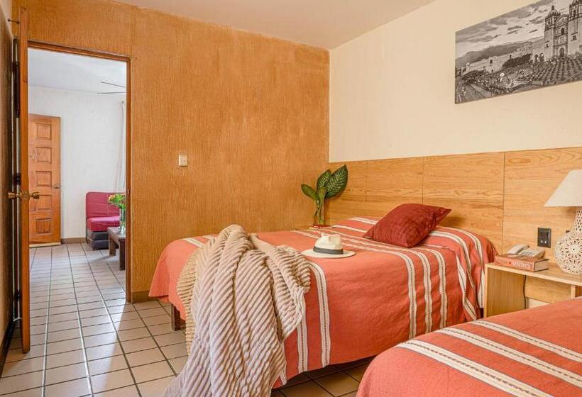 آپارتمان 1 خوابه, Suites Parador Santo Domingo De G