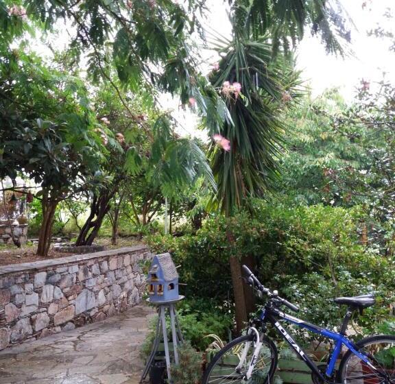 سوییت با چشم‌انداز باغ, Anofli Suites