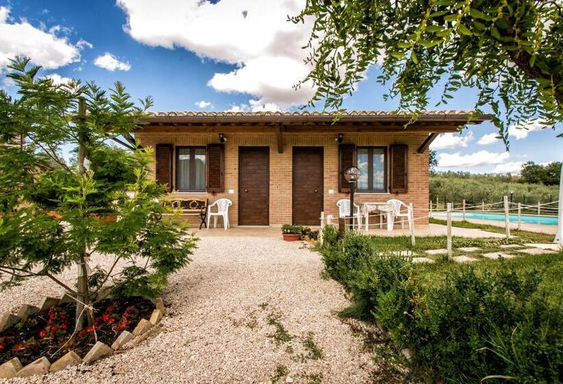اتاق استاندارد, Agriturismo La Rosa Montefalco
