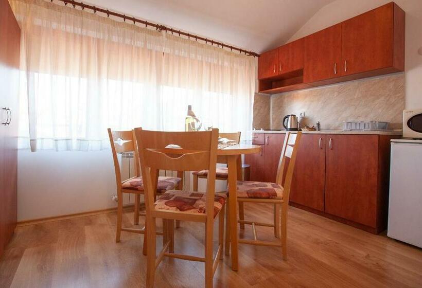 استودیوی استاندارد, Guest House Ela