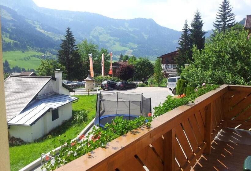 آپارتمان 2 خوابه با بالکن, Landhaus Gastein