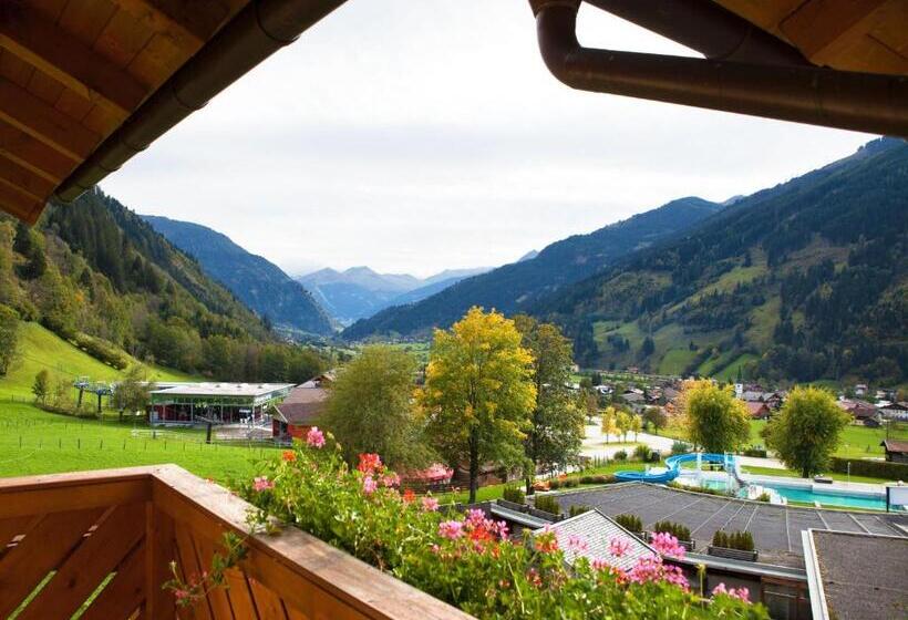 آپارتمان 2 خوابه با بالکن, Landhaus Gastein