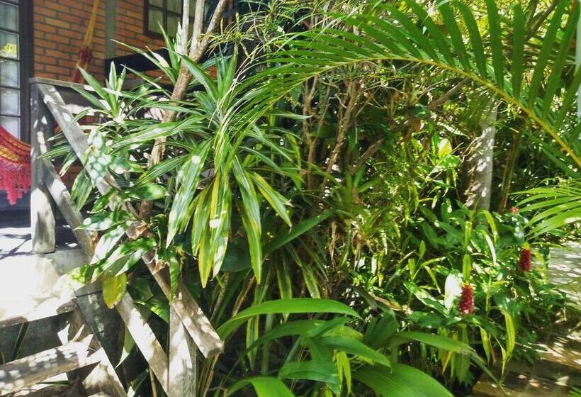 스탠다드 스튜디오, Morada Crisálida